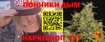 шишки Краснознаменск